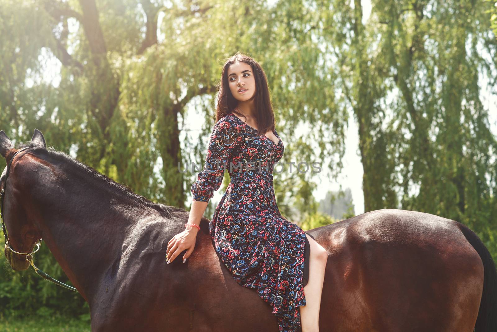 Young pretty girl laying on horseback in the forest
