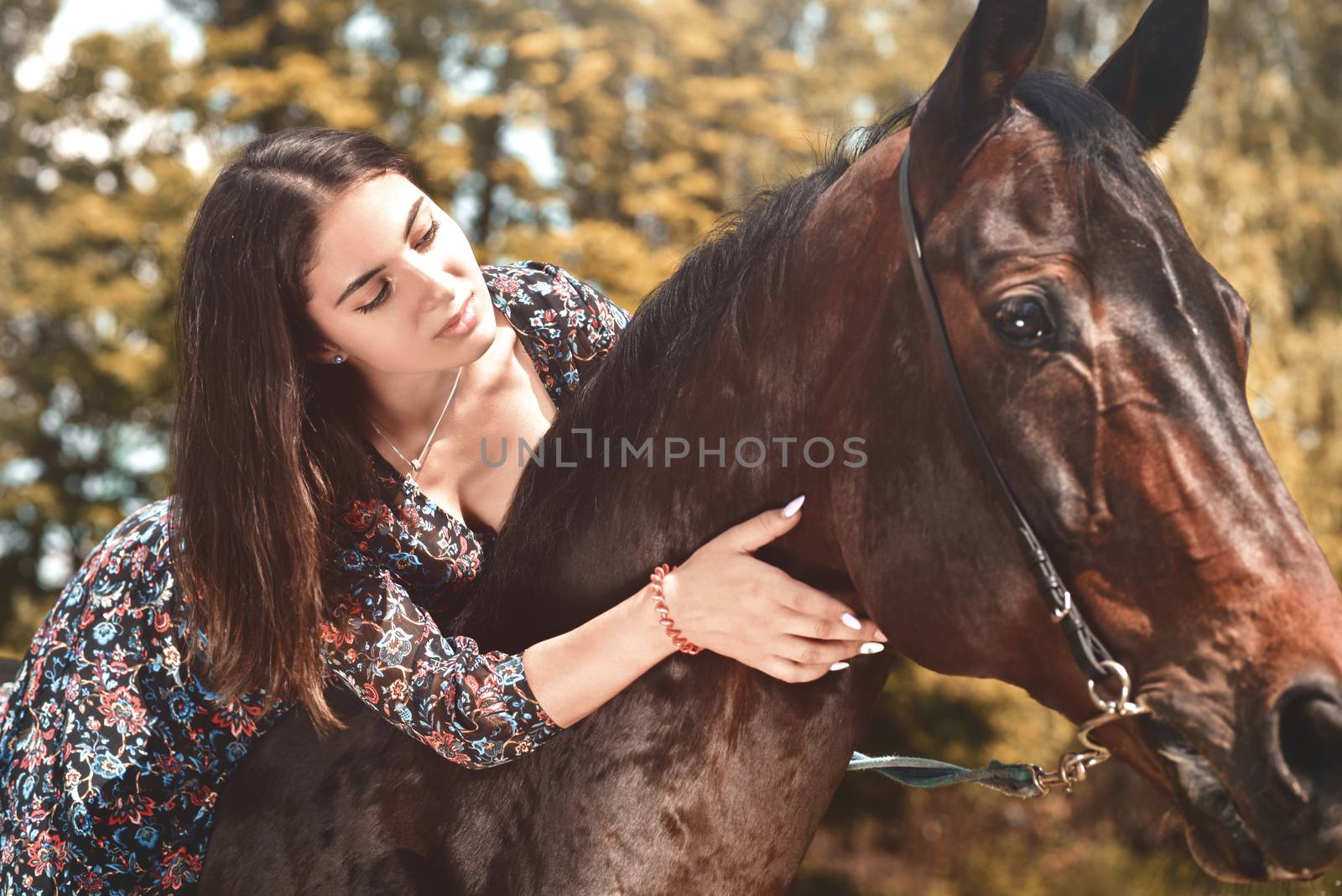 Pretty Hispanic brunette giving her horse a hug while riding him in the forest. love animals concept. love horses by Nickstock