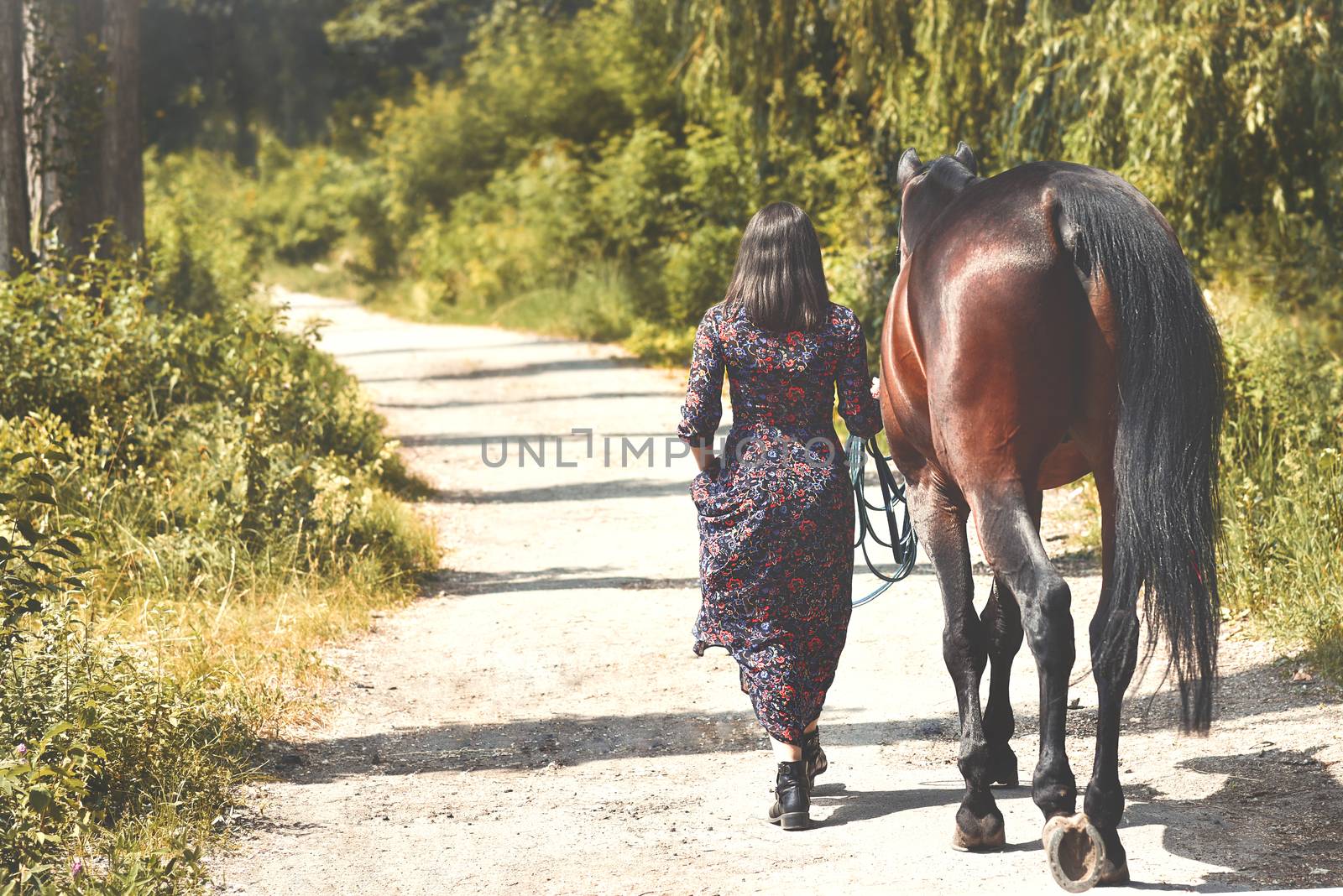 Beautiful Latin woman and her lovely horse walk in the forest. love animals concept