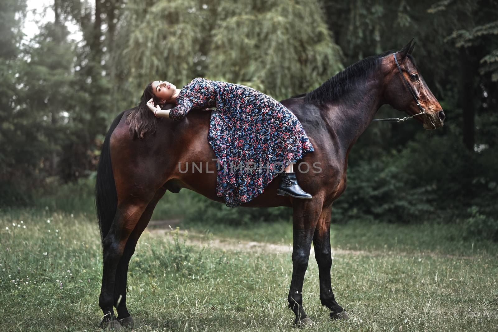 Young pretty girl laying on horseback in the forest