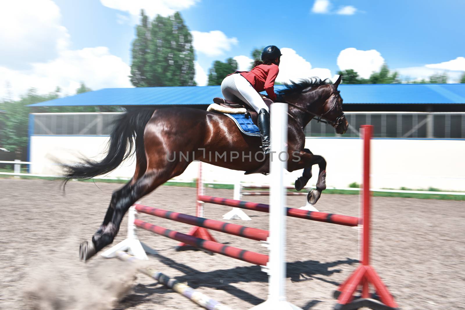 Young female jockey on horse leaping over hurdle