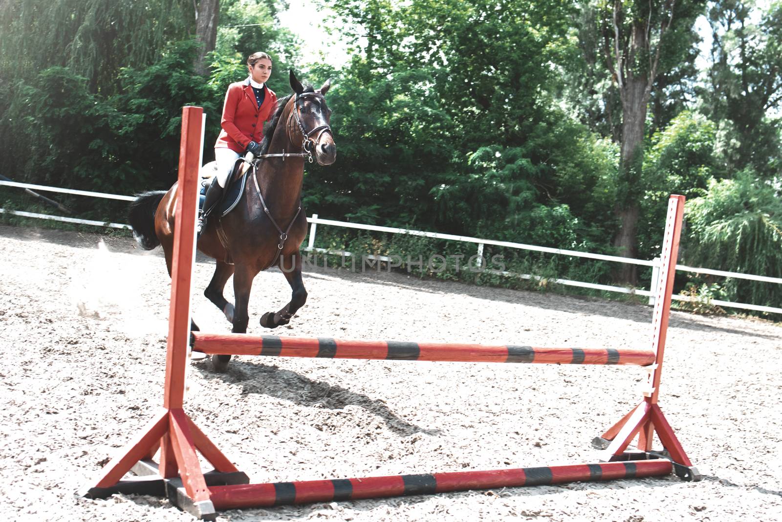 Young female jockey on horse leaping over hurdle