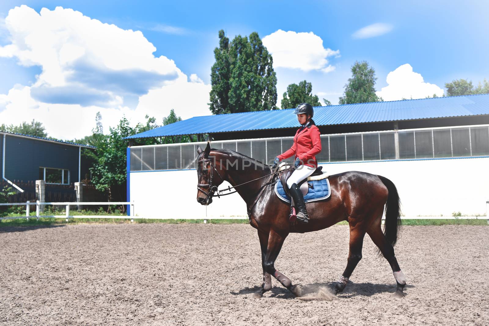 Young pretty jockey girl preparing horse for ride. love horses