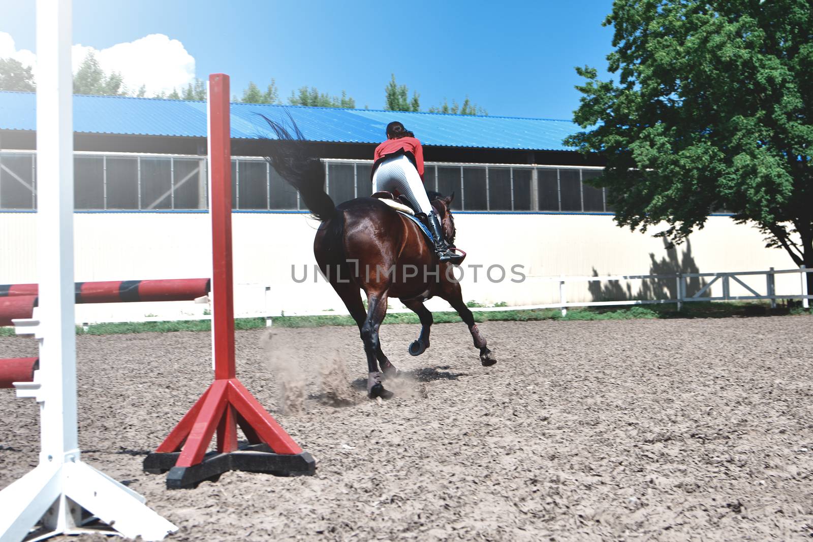 Young female jockey on horse leaping over hurdle