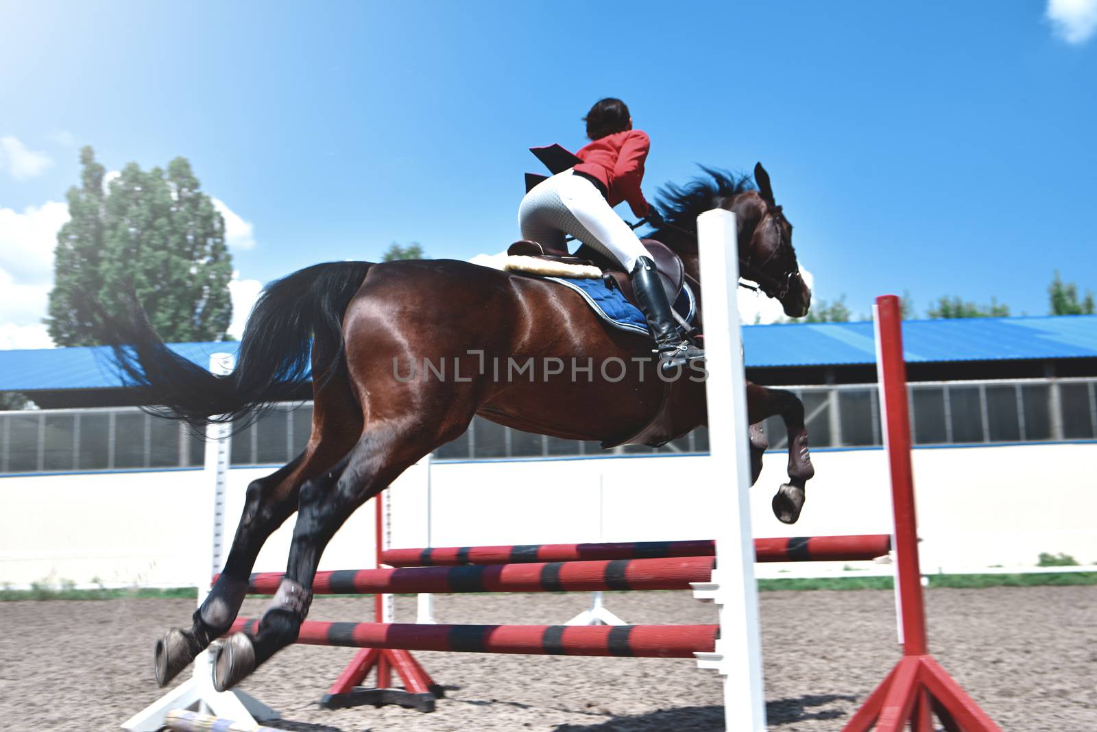 Young female jockey on horse leaping over hurdle