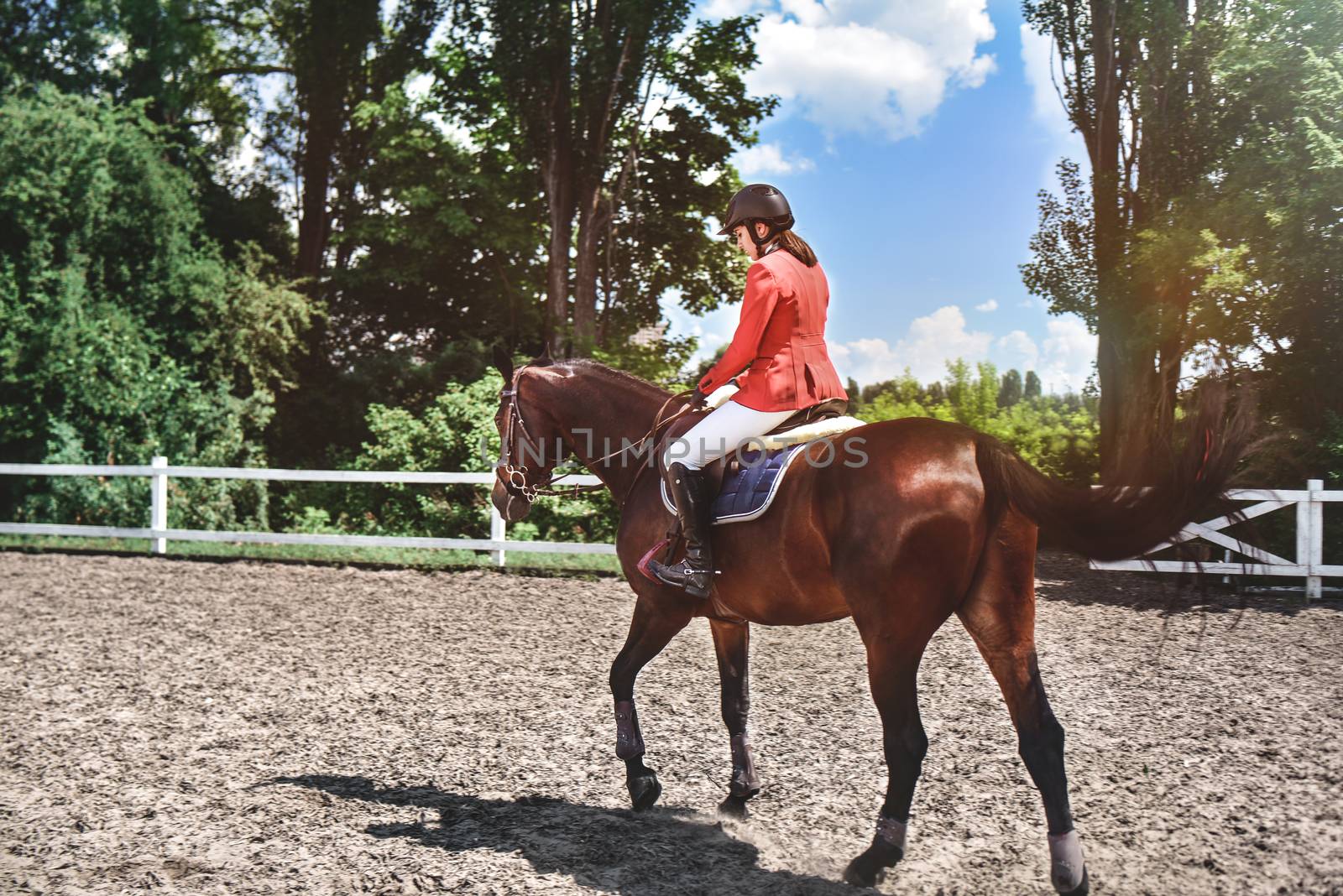 Young pretty jockey girl preparing horse for ride. love horses. girl riding a horse by Nickstock