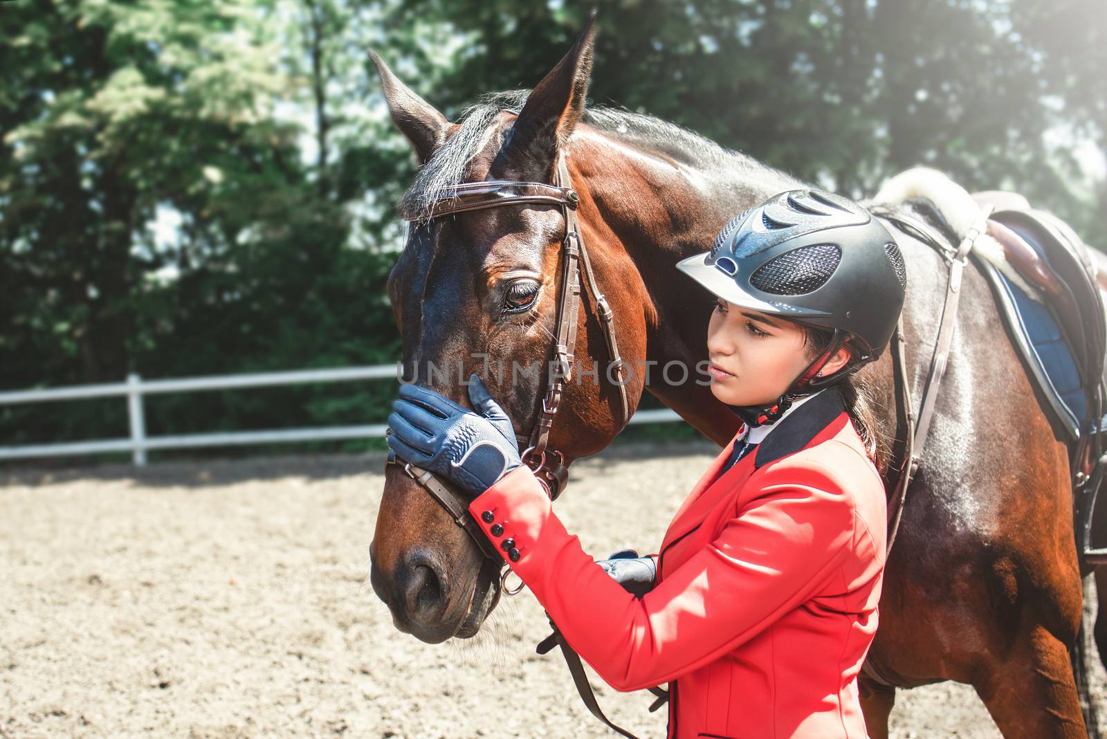 A young girl talking and takes care of her horse. She loves the animals and joyfully spends her time in their environment.