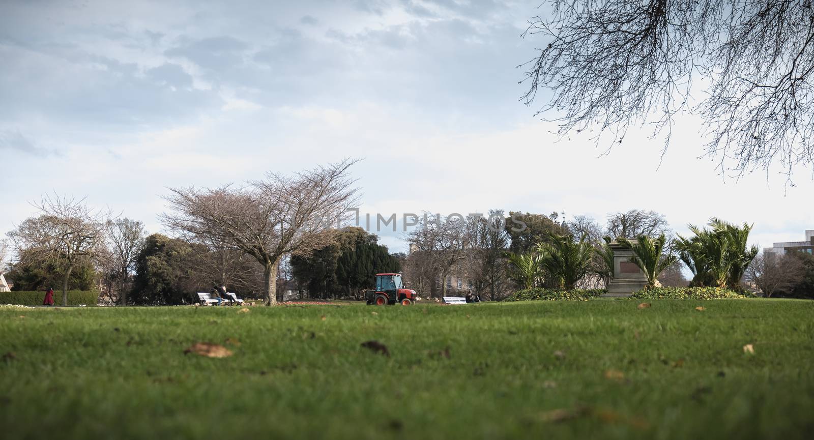 Gardeners moving by tractor on the lawns of Phoenix Park in Dubl by AtlanticEUROSTOXX