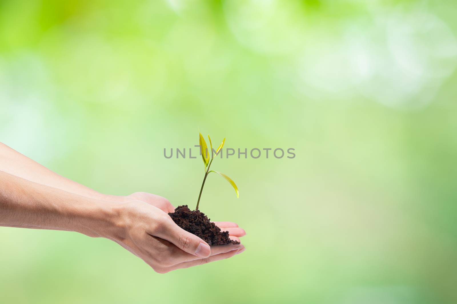 Love the world, love the environment Hands are planting trees
