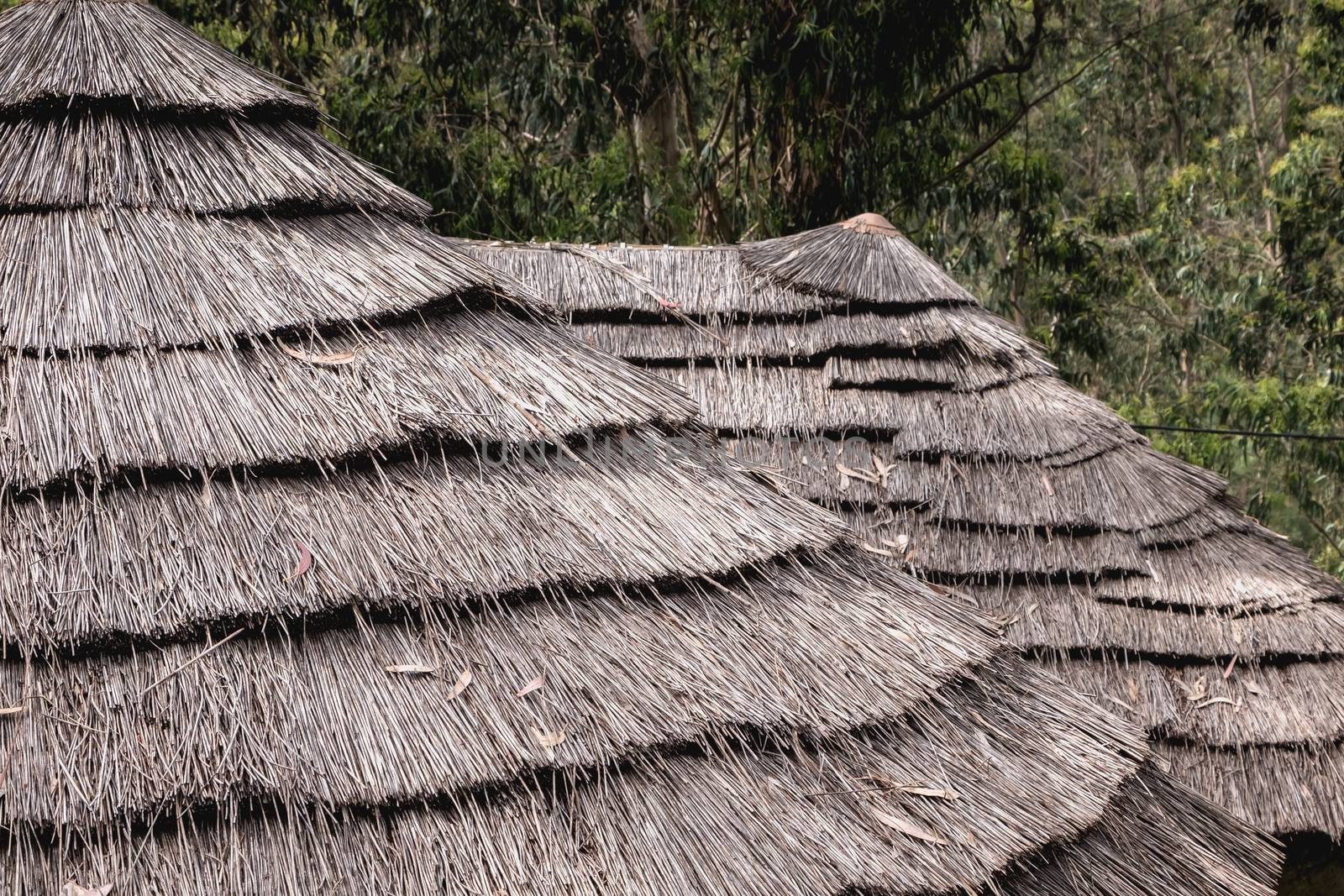 detail of a traditional thatched roof  in Portugal by AtlanticEUROSTOXX