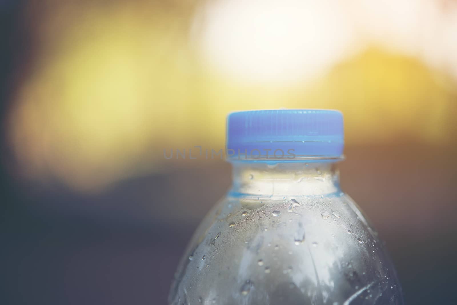 Water bottle with blurred nature background, copy space.