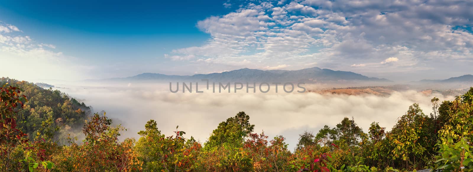 Landscape Panorama Scenery View of Mountain Range With Foggy Against Blue Sky Background at Sunrise, Scenic Tranquil Nature Plant With The Mist in Morning Sunrise. Panoramic Nature Outdoors