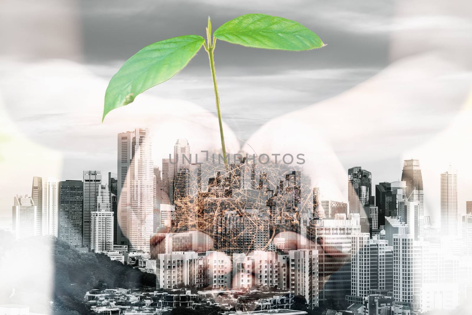 World Eco Friendly for Save The Green Earth Concept, Double Exposure Images of Woman Hands is Holding Tree Seeding With Cityscape Background. Eco Saving Green City for World Environment Sustainable