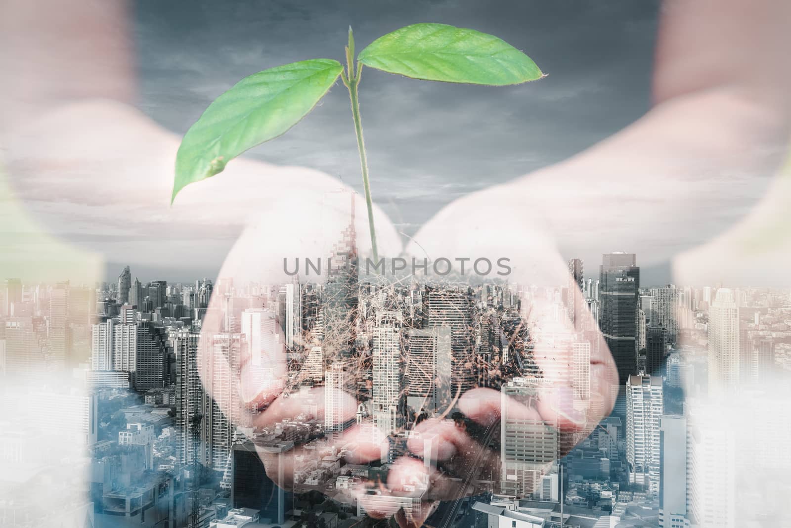 Save for Green Earth and Eco World Concept, Double Exposure Images of Woman Hands is Holding Seedling Tree and Soil on City Background. World Food and Protection Global Environmental Sustainable. by MahaHeang245789