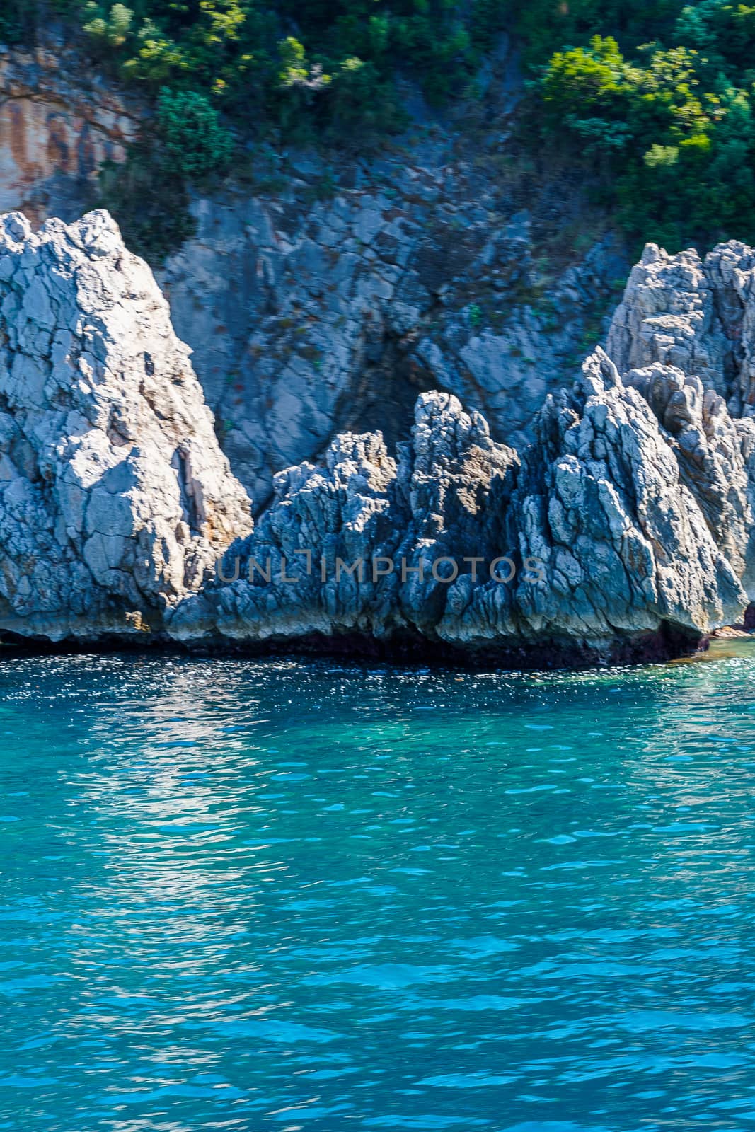 seashore, rocks washed by water and vegetation on them, sunny day