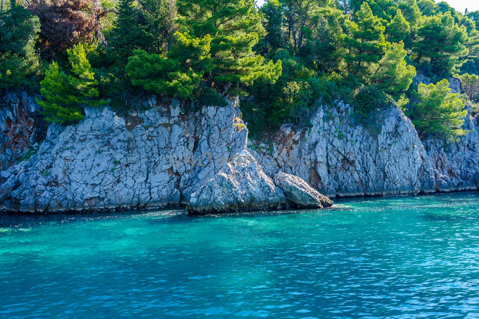 seashore, rocks washed by water and vegetation on them, sunny day