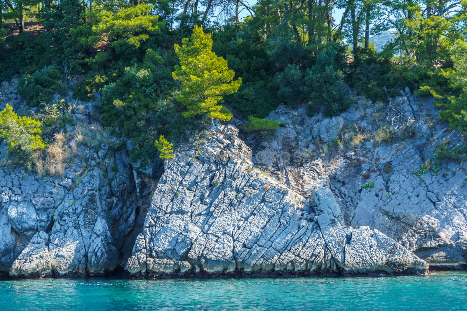 seashore, rocks washed by water and vegetation on them, sunny day