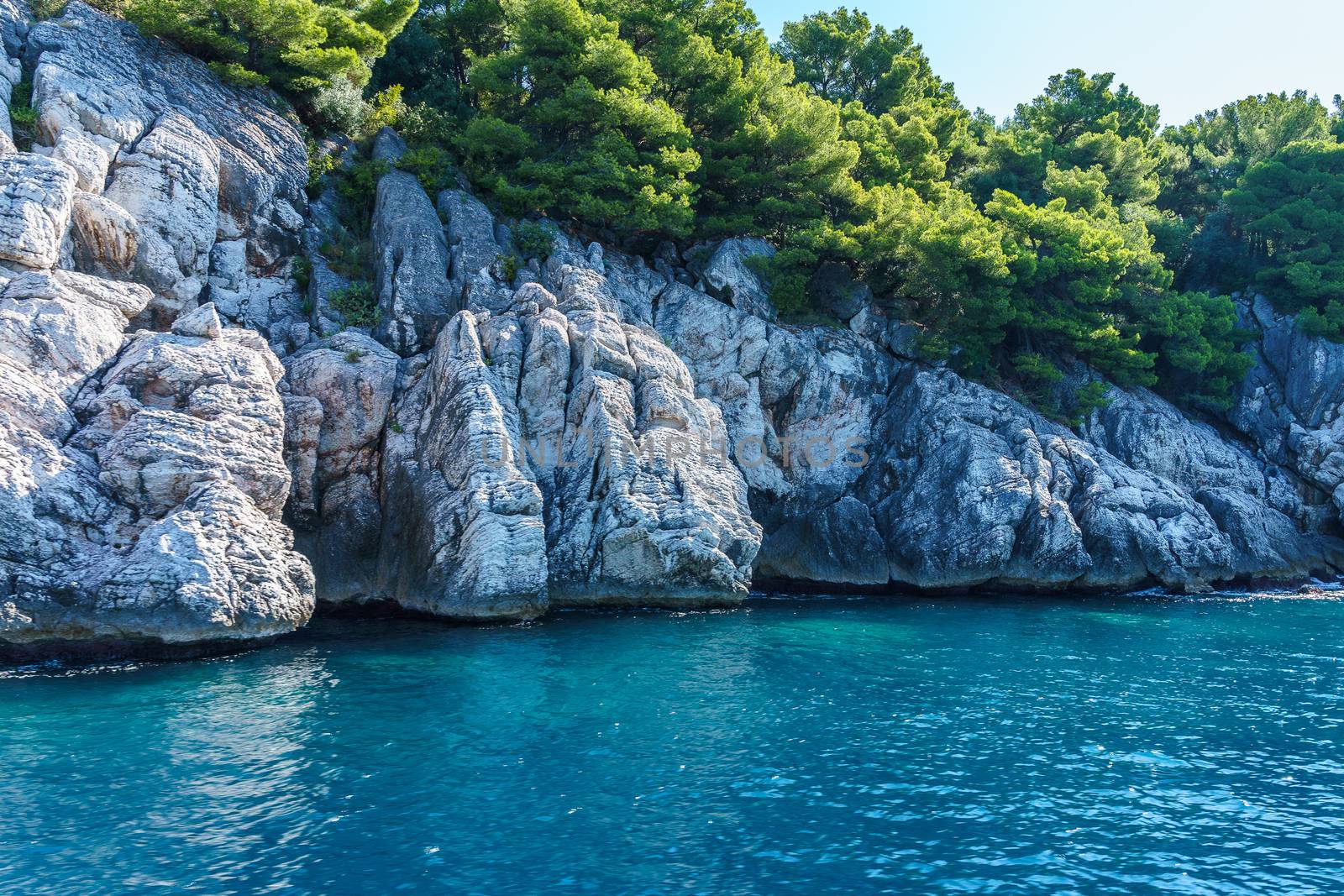 seashore, rocks washed by water and vegetation on them, sunny day