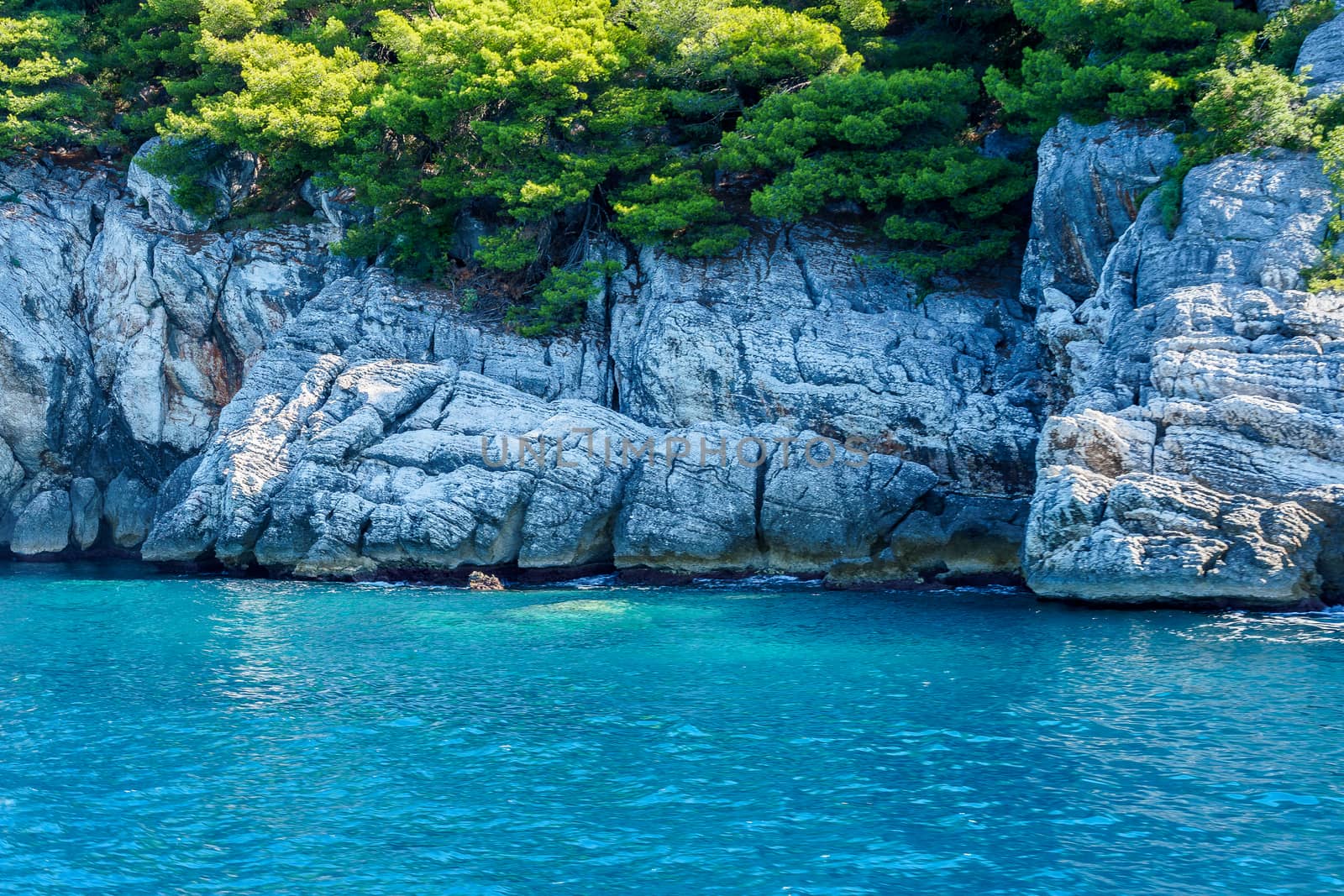 seashore, rocks washed by water and vegetation on them, sunny day