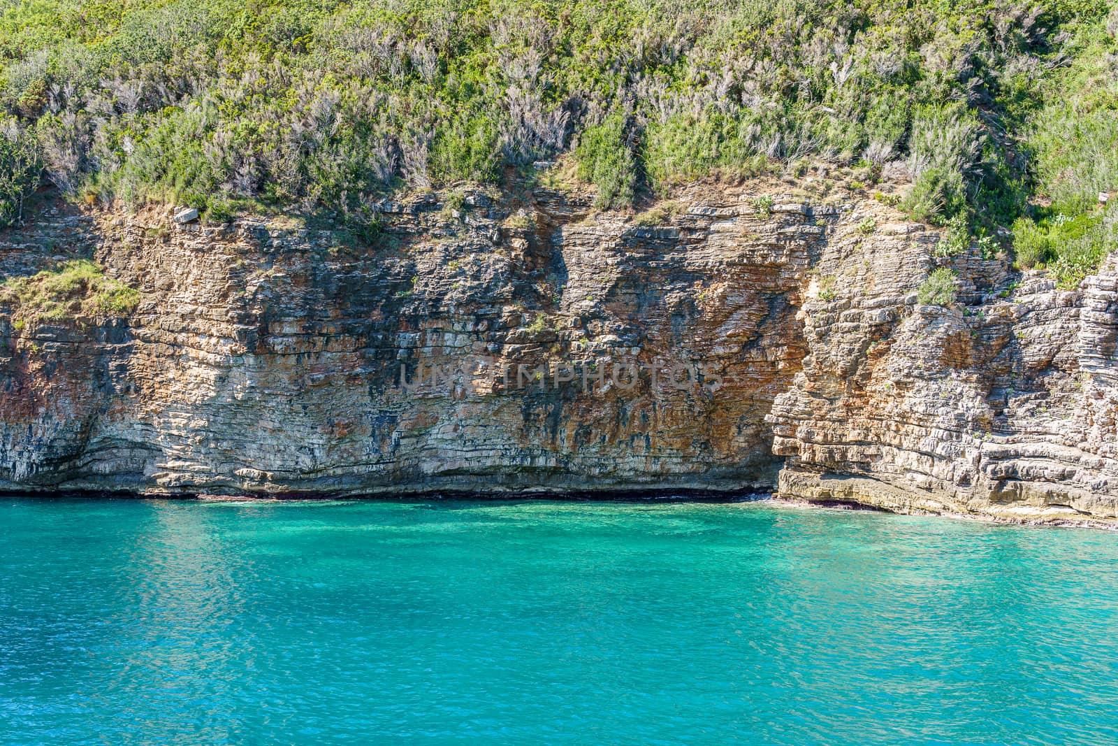 seashore, rocks washed by water and vegetation on them, sunny day