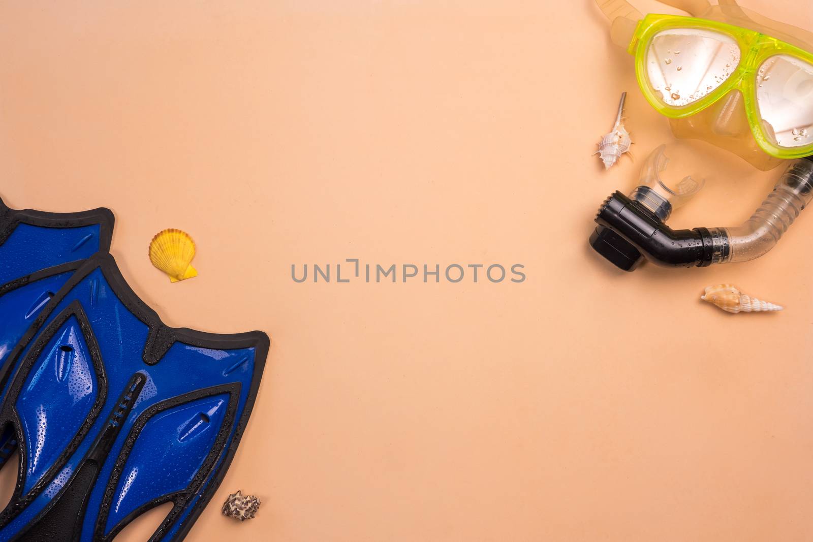 Top view of Snorkel and flipper on a color background. by ronnarong