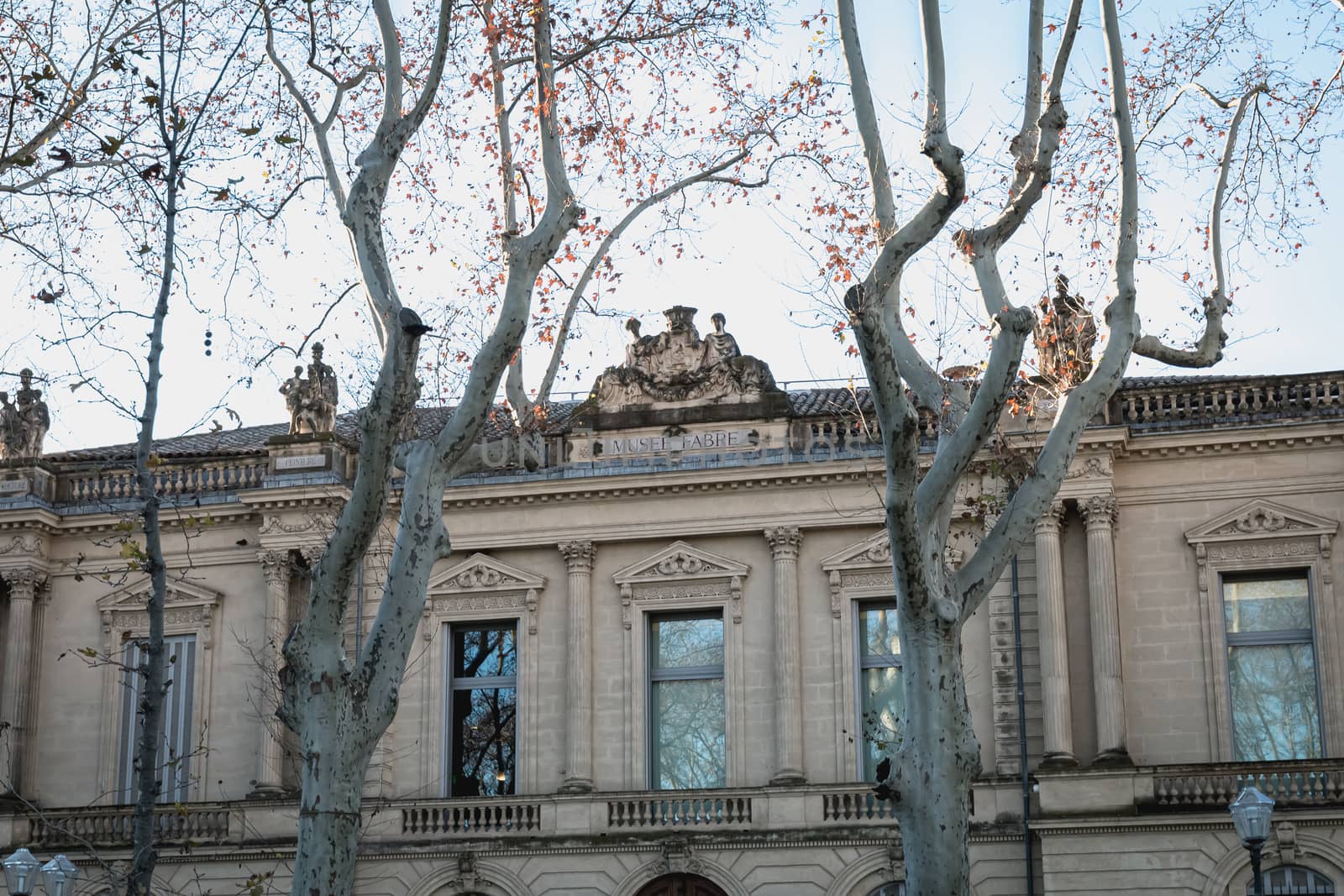 architectural detail of the Fabre museum in Montpellier by AtlanticEUROSTOXX