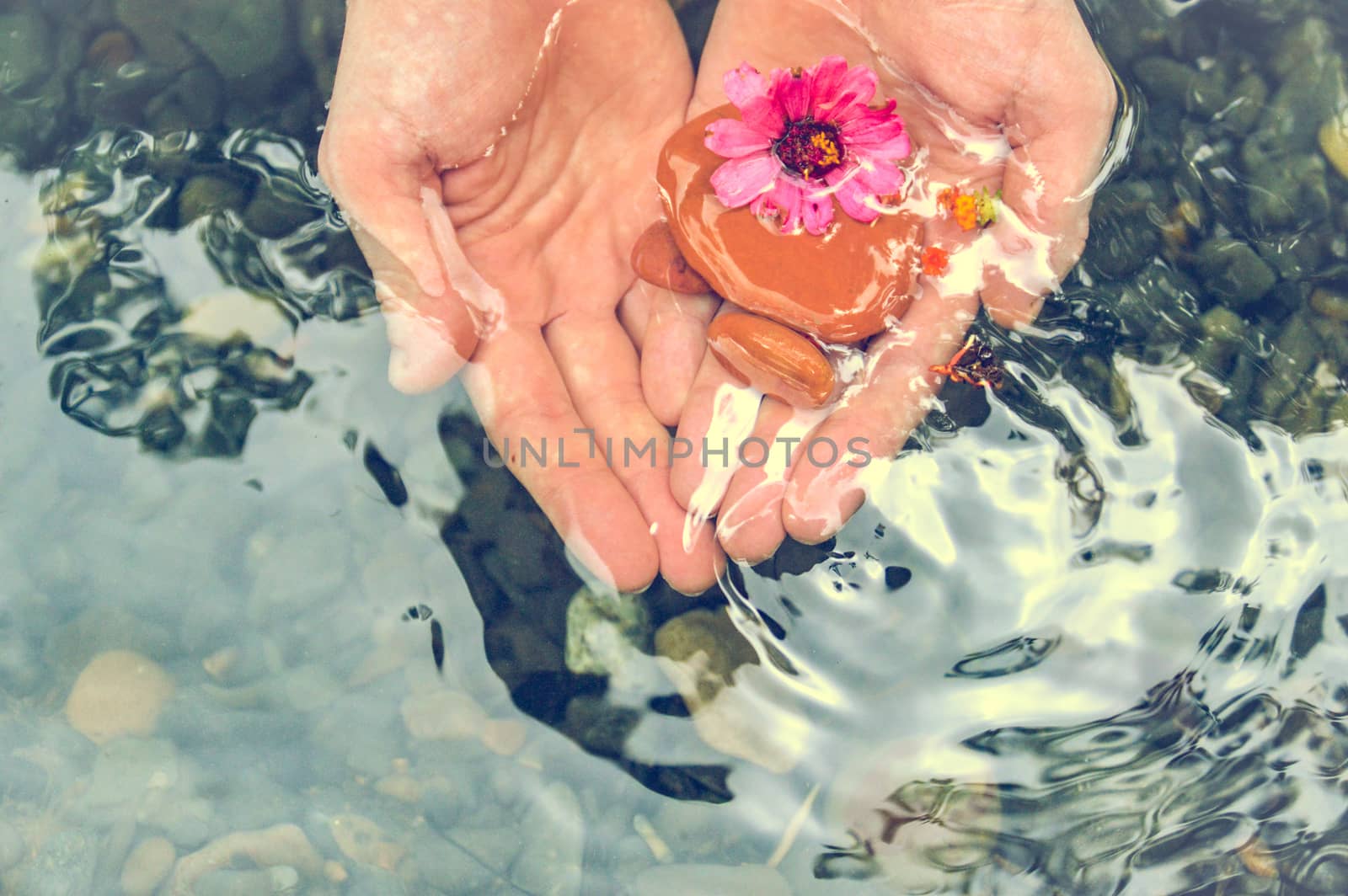Top view of male hands holding flowers and pebbles over clean clear water showing the concept of healing, new age movement, wellness and mental health