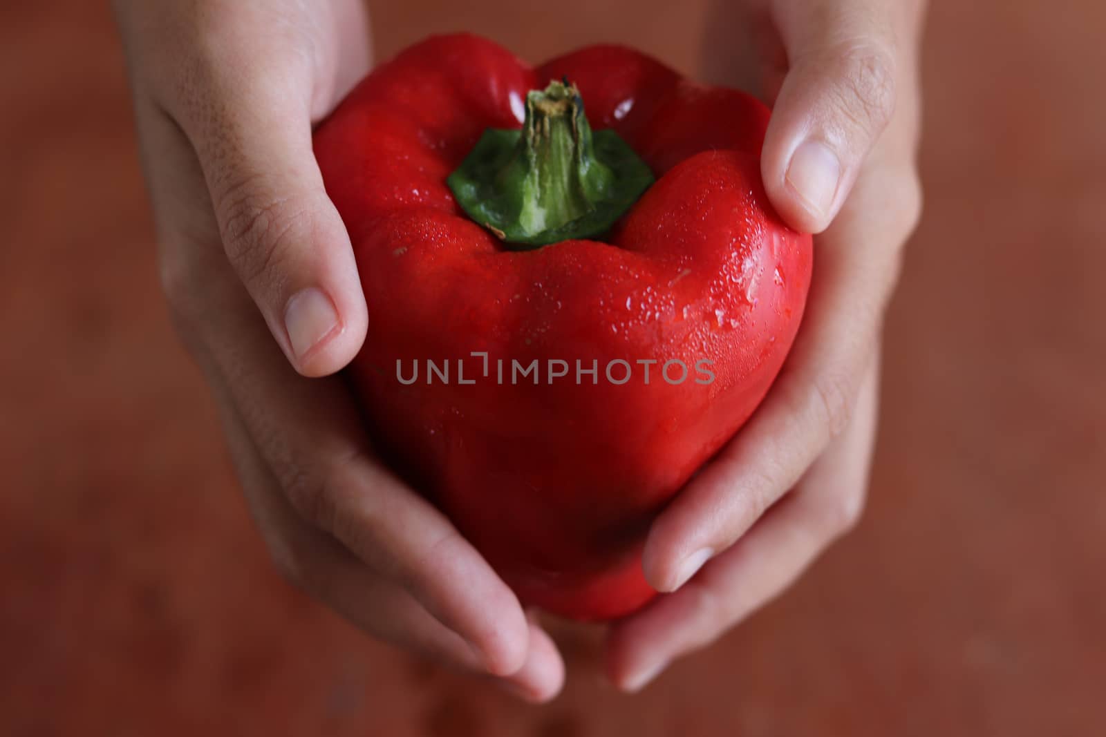 Conceptual photo of a hand holding a red bell pepper to show the importance of healthy eating during the times of home quarantine, self isolation and social distancing because of the covid-19 pandemic
