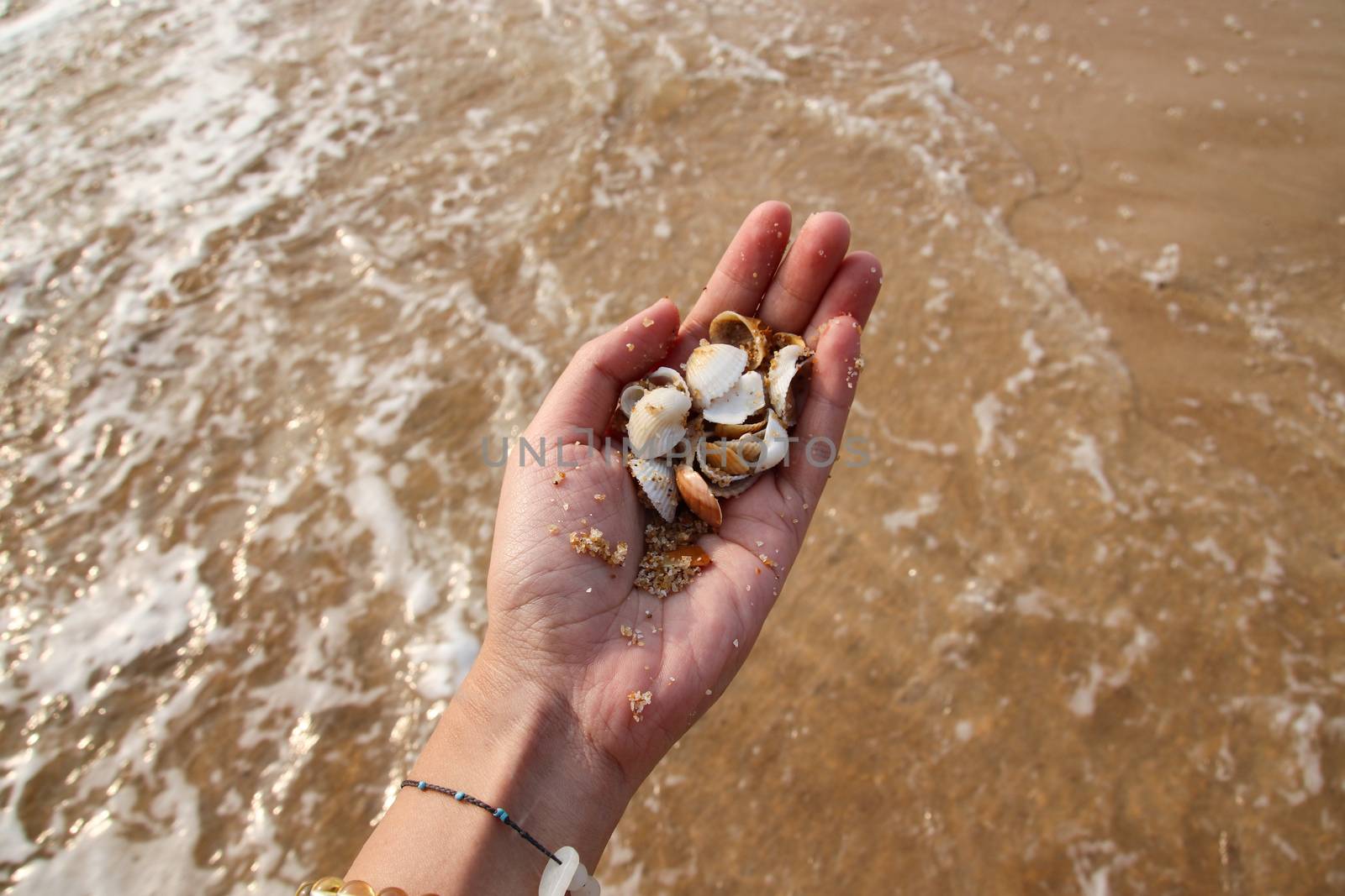 Enjoying the summer while social distancing at the beach collecting seashells