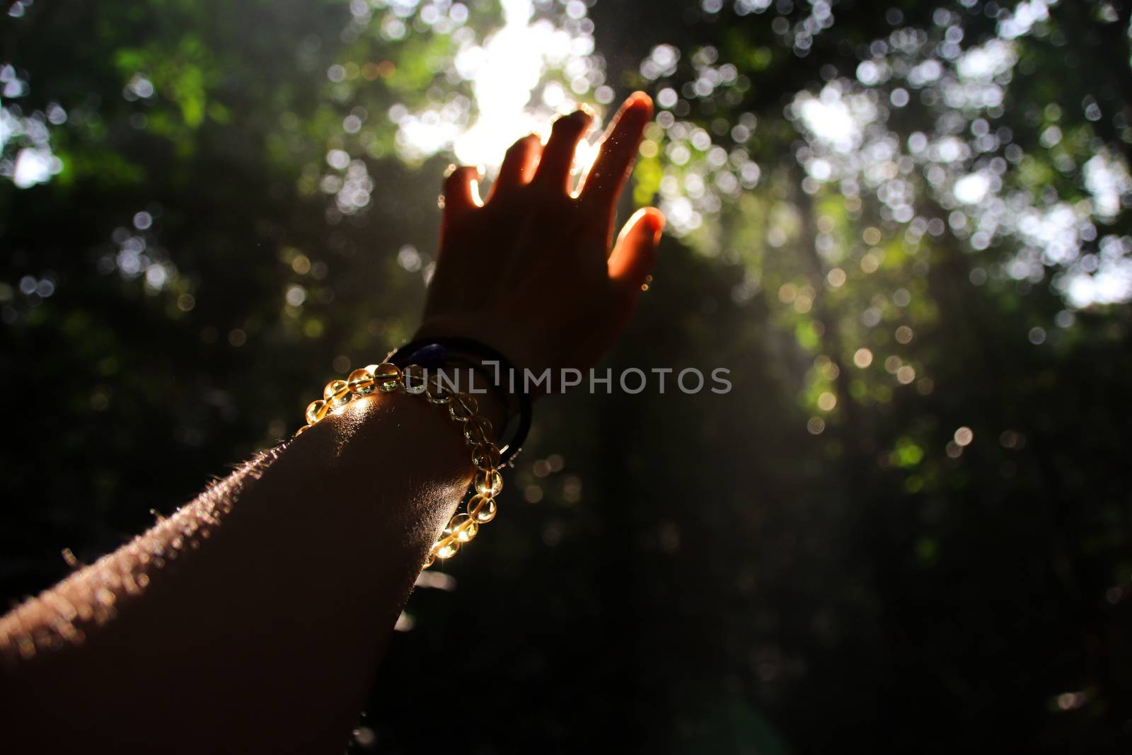 Hand reaching out to the light in the forest by Sonnet15