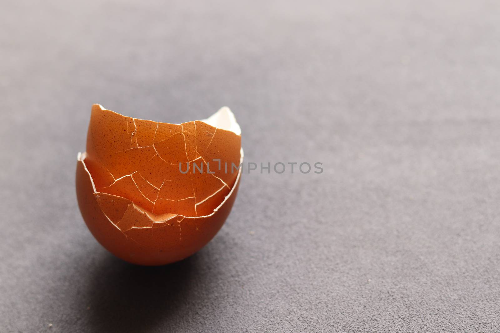 A couple of broken eggshells against a gray colored background
