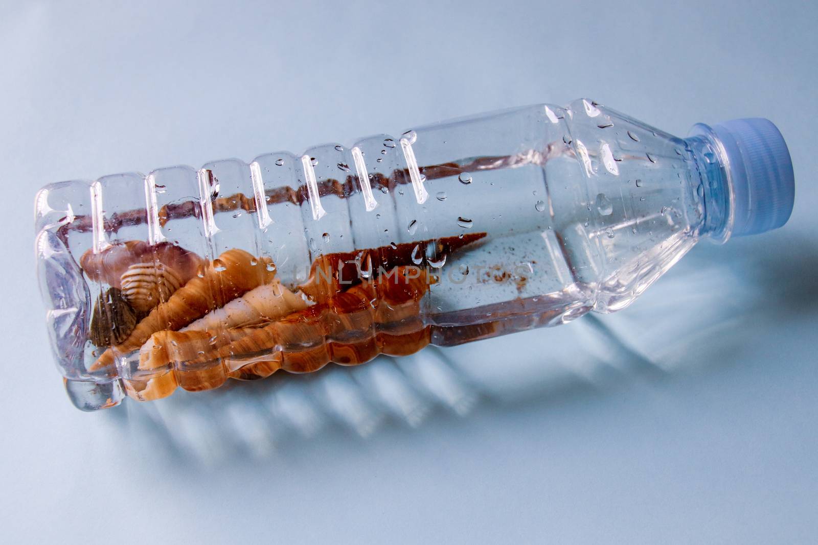 Sea shells in a Plastic Bottle by Sonnet15