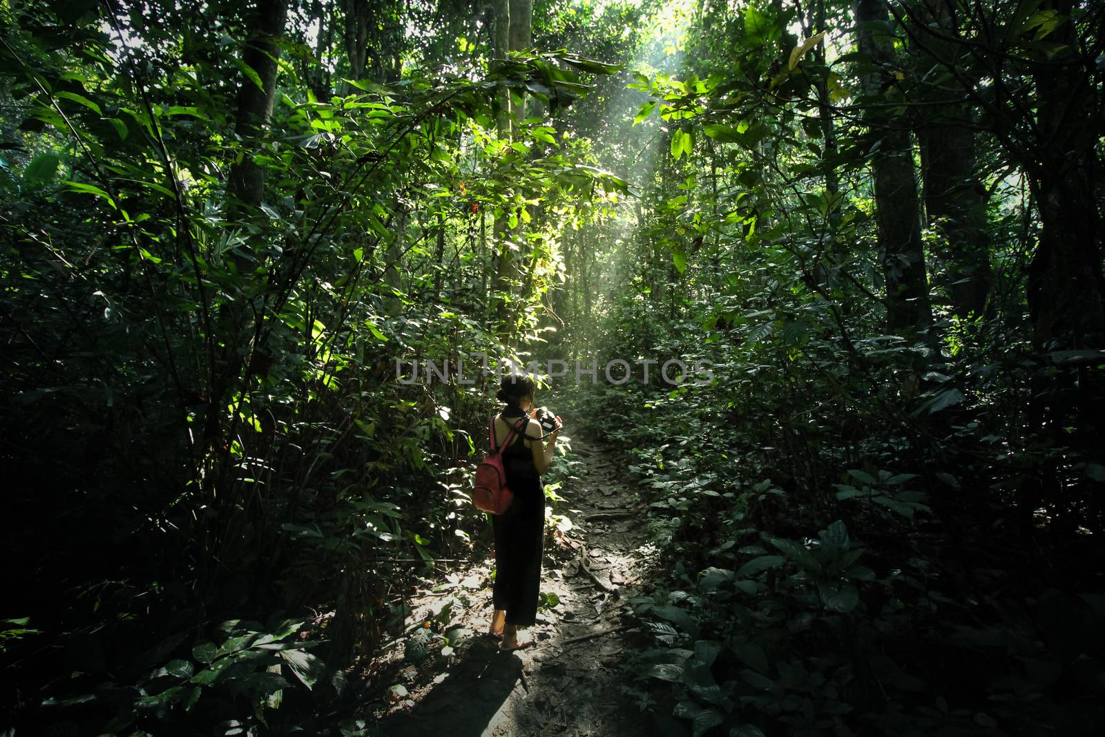 A girl walking among the trees in the forest and illuminated by the sunlight breaking through the foliage