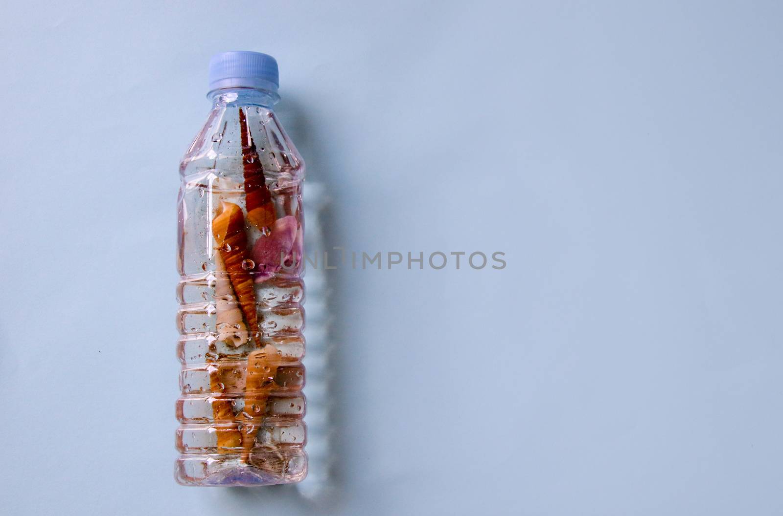 Conceptual still life showing ocean pollution, plastic pollution and what will be left of our world if we don't act now