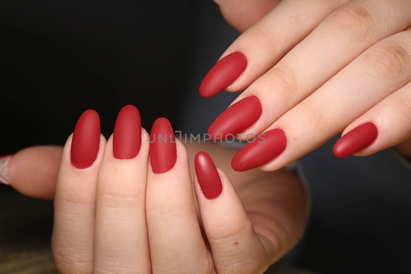 Closeup photo of a beautiful female hands with elegant manicure by SmirMaxStock