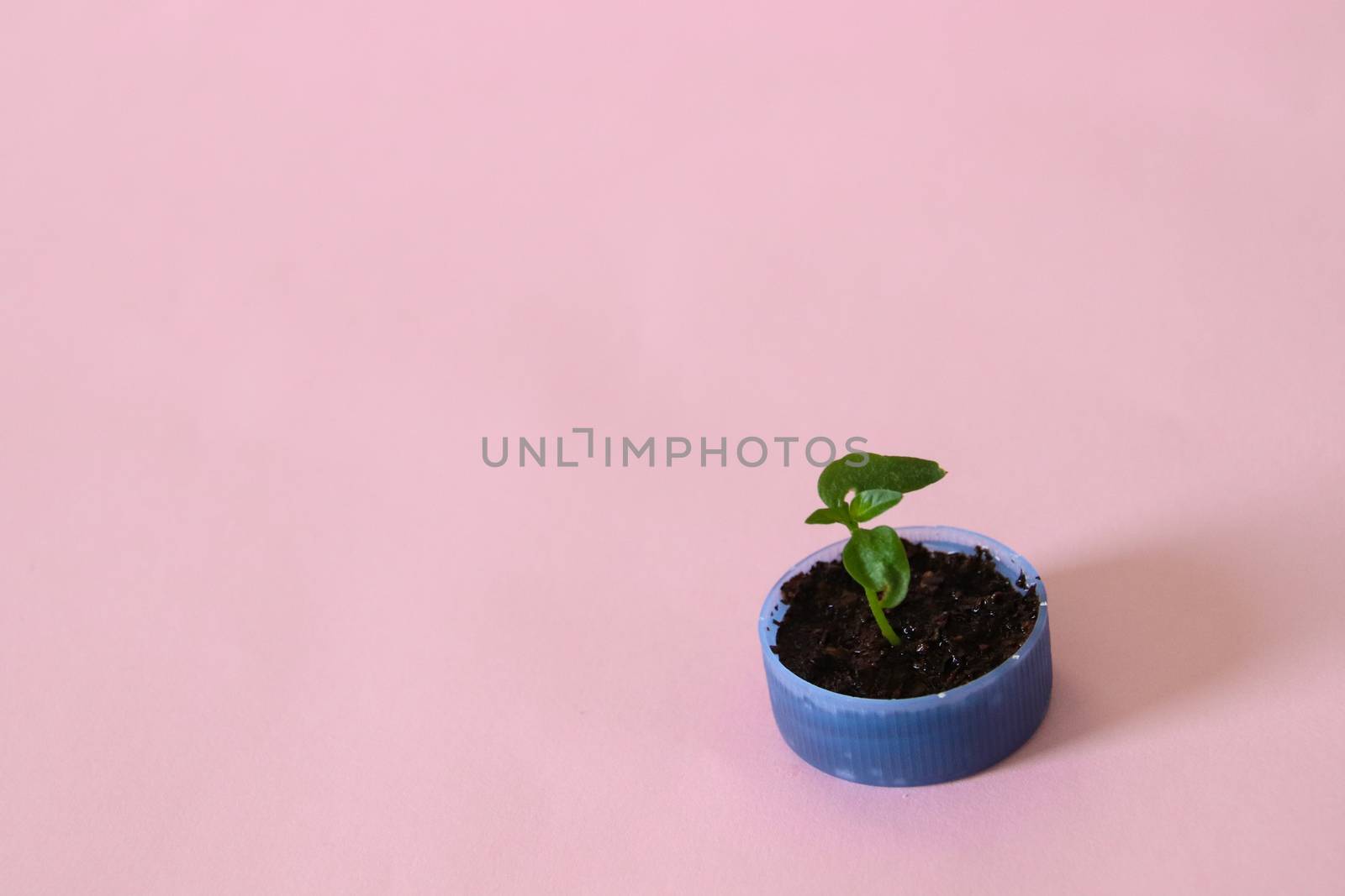 Conceptual still life showing hope for nature and the planet