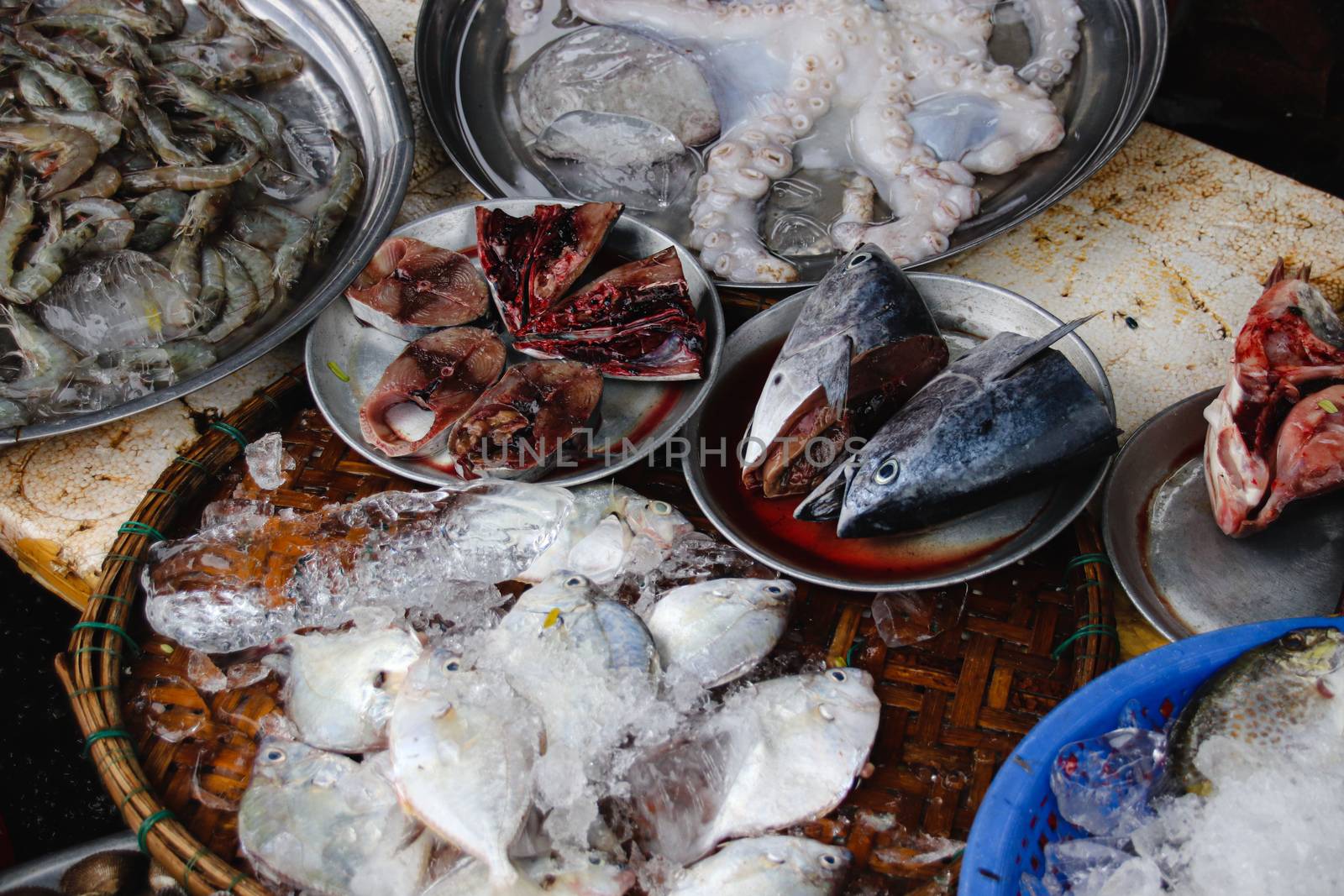 Fresh Fishes in a Local Wet Market by Sonnet15