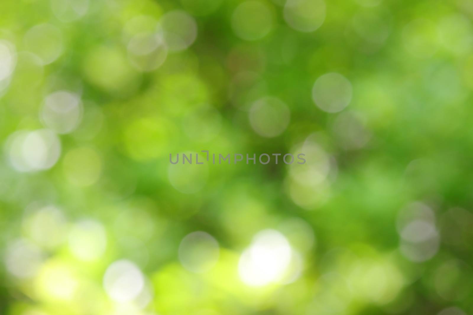 blur green nature background , wallpaper by 9500102400