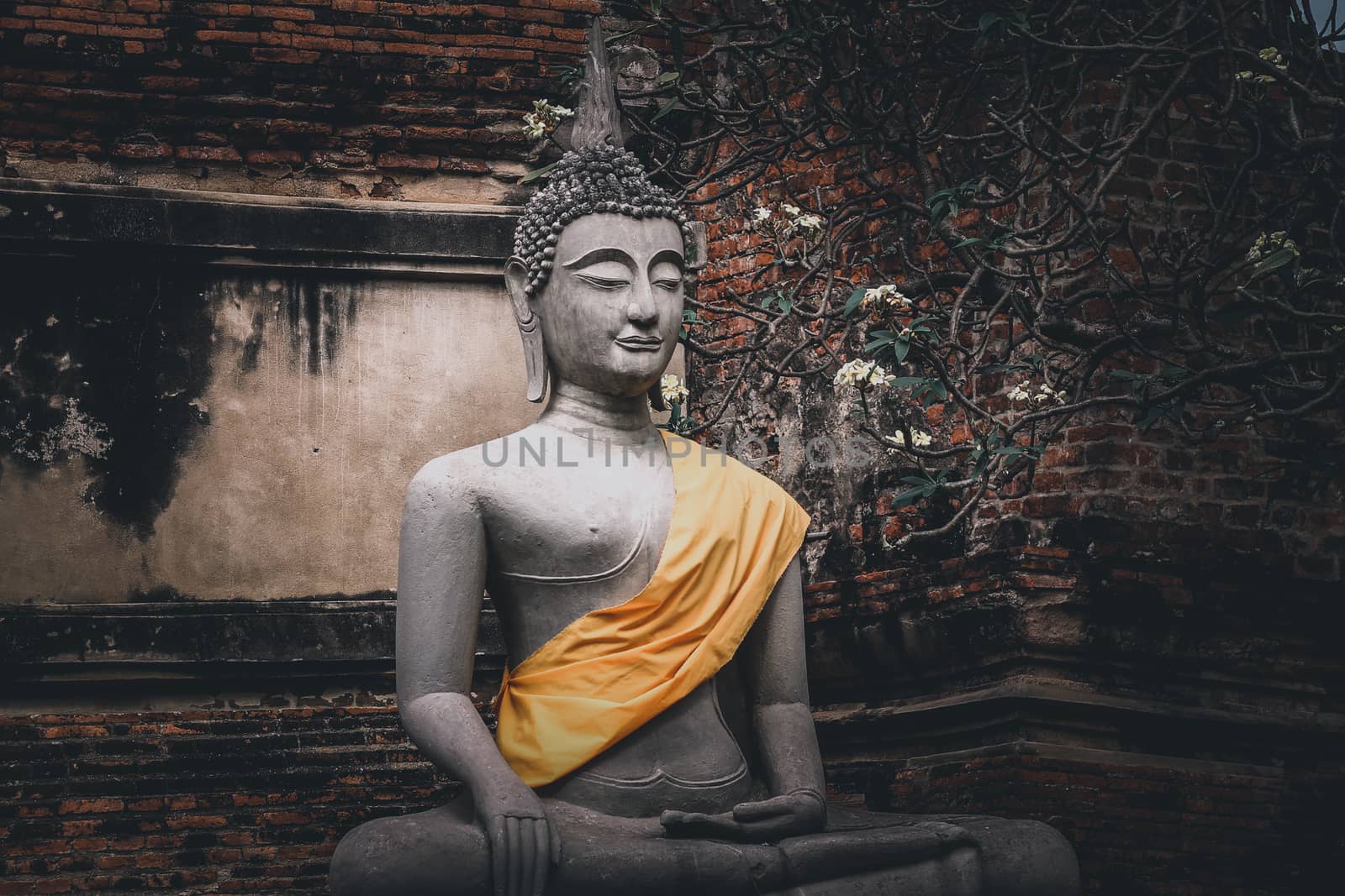 Statue of Buddha at the Ayutthaya Historical Park showing the religion, local thai culture and history of Thailand