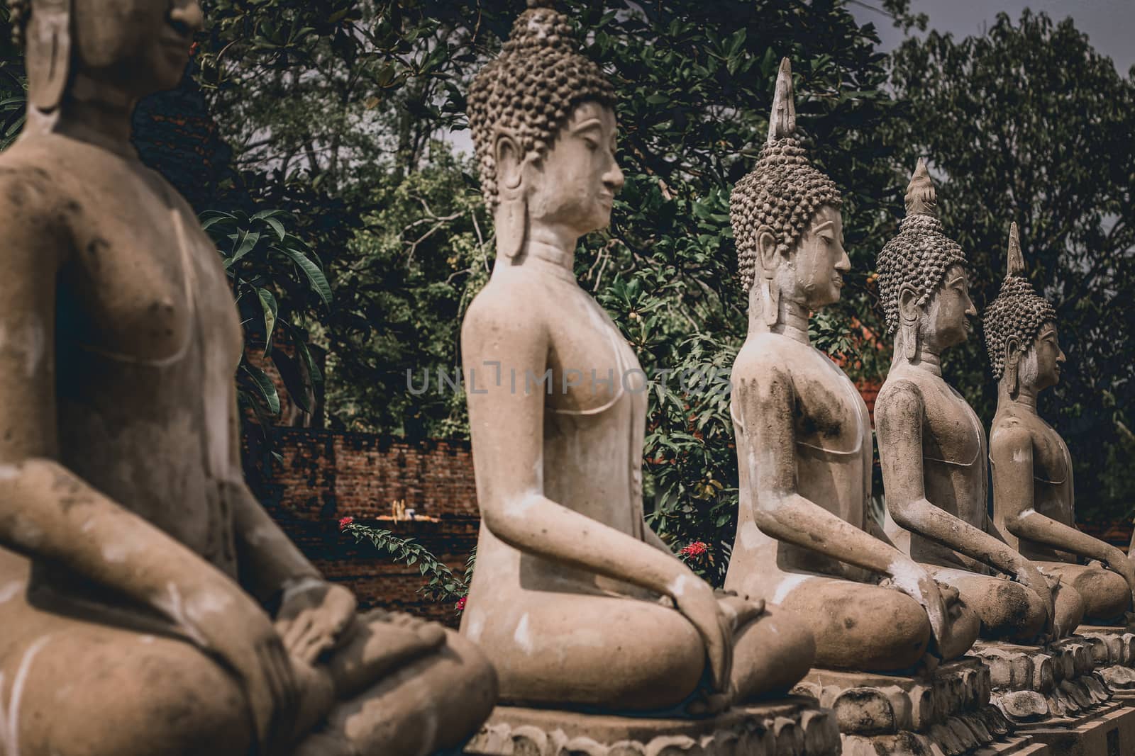 Buddha stone statues in a row at the famous Ayutthaya Historical Park by Sonnet15