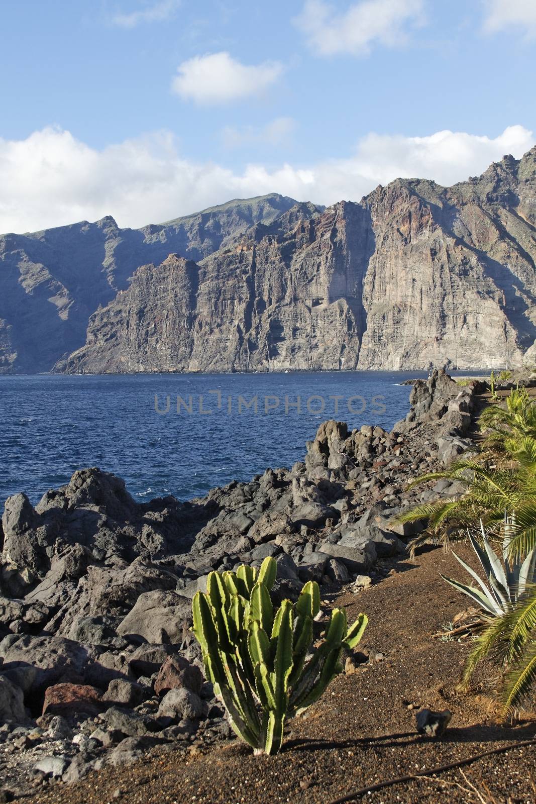 The highest european cliff at Tenerife - Los Gigantos