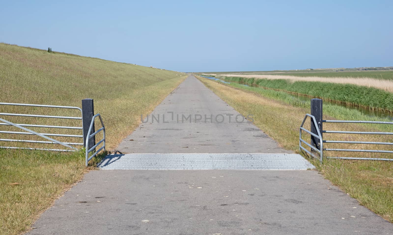 Cattle grid in ground, an obstacle used to prevent wild cattle and other wildlife from crossing