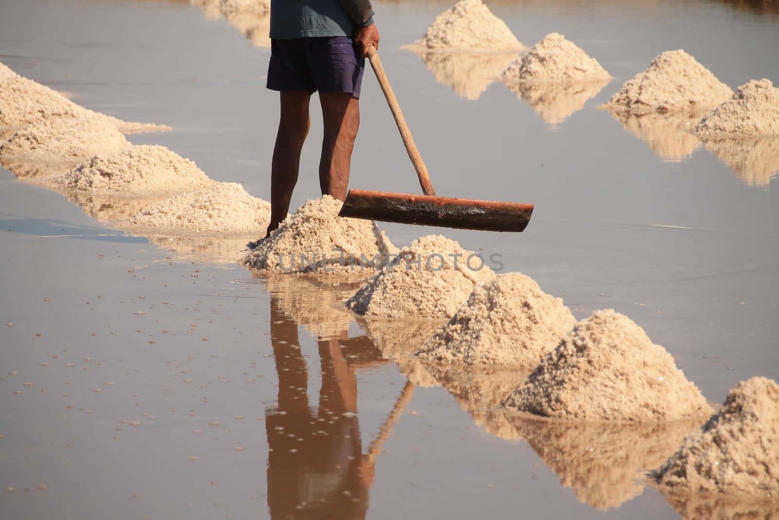 A salt farm worker harvesting salt which is the traditional and local livelihood of the Khmer people in Kampot Province, Cambodia