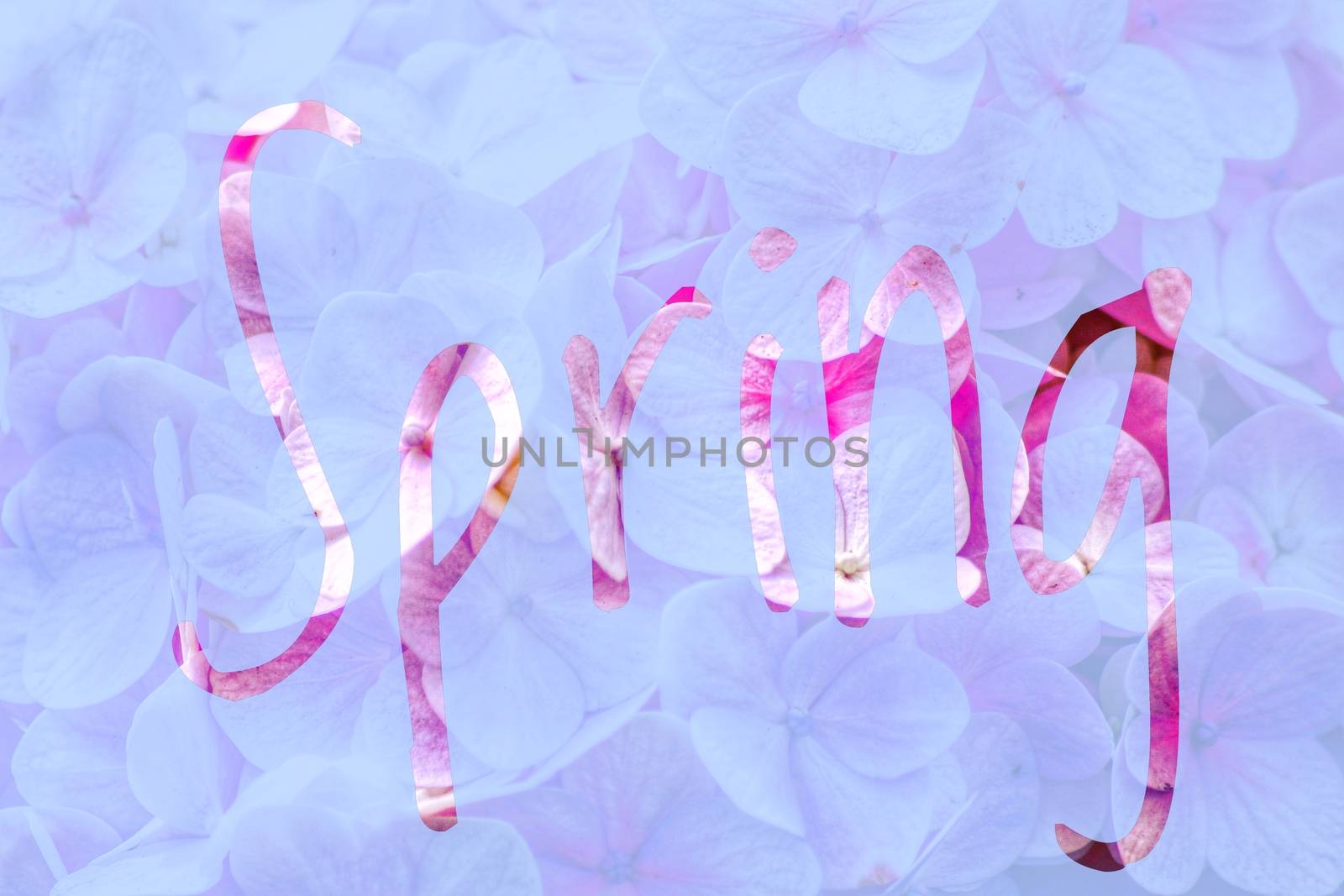 Spring Season Background by Sonnet15