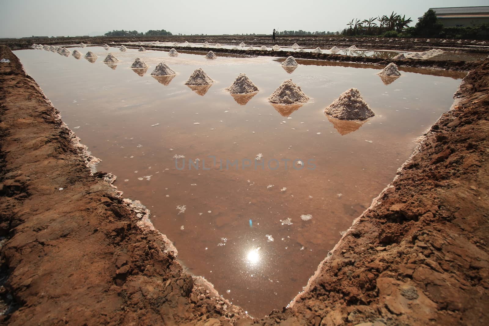 Wide angle view the salt fields of Kampot Province during the harvest season which is a traditional and cultural local livelihood for the Khmer people of Cambodia