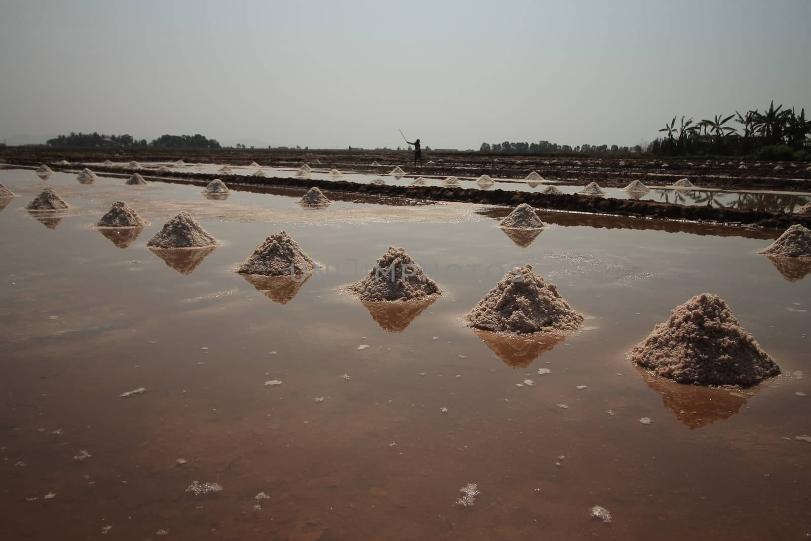 Wide angle view the salt fields of Kampot Province during the harvest season which is a traditional and cultural local livelihood for the Khmer people of Cambodia