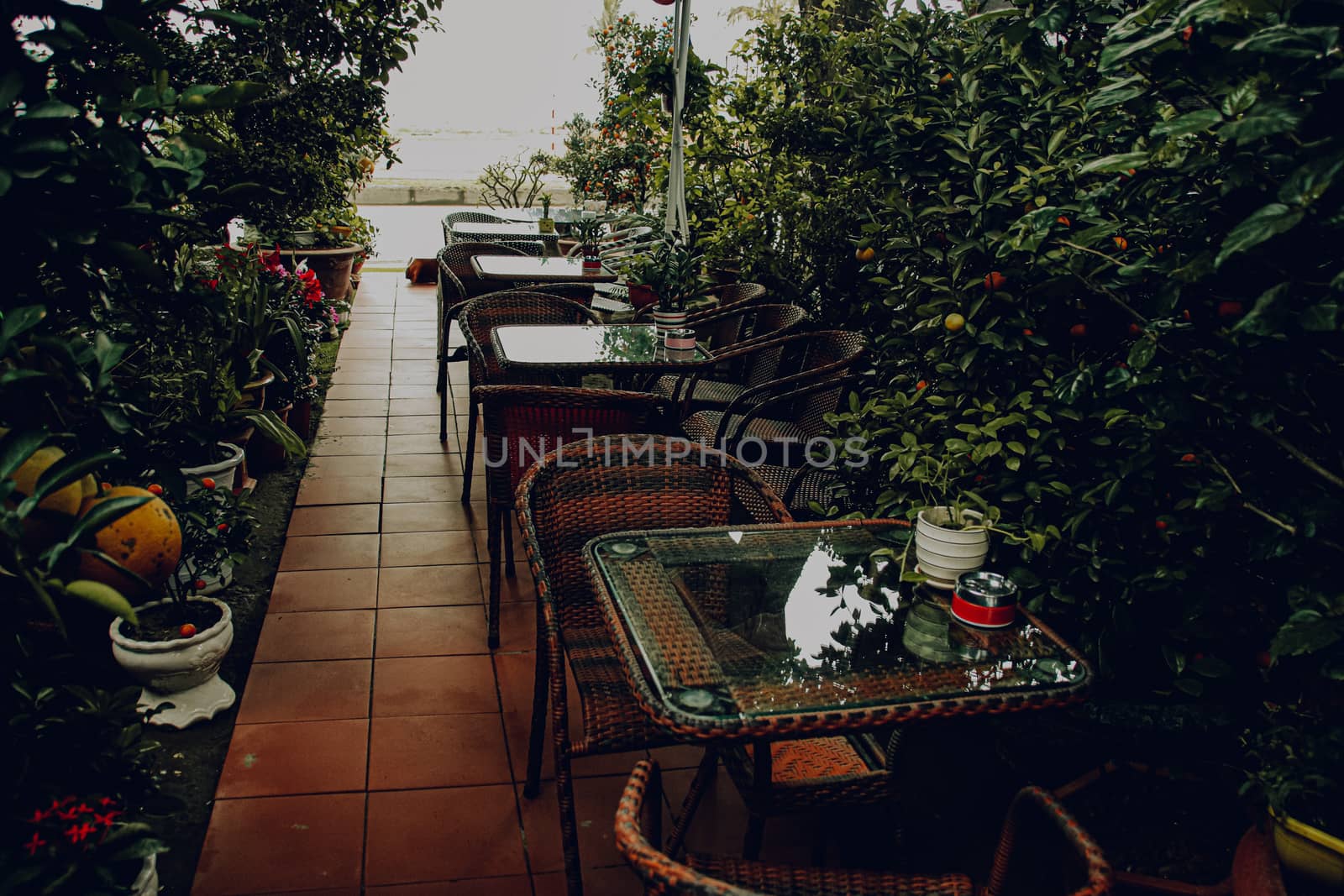 Tables and chairs among the thick foliage of an indoor garden to create a relaxing and healthy living space as way to cope with home quarantine during the covid-19 pandemic