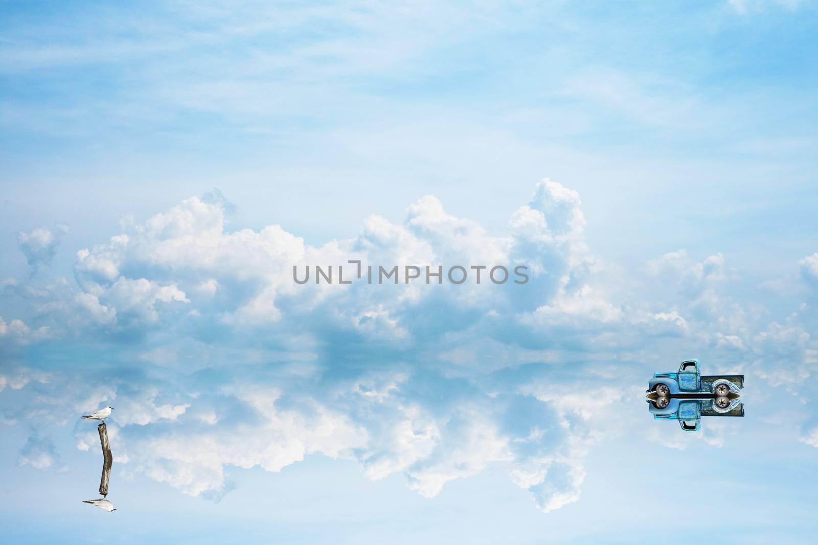 reflection car was parking and bird stand on dry tree on water of lake and blue sky and white cloud background