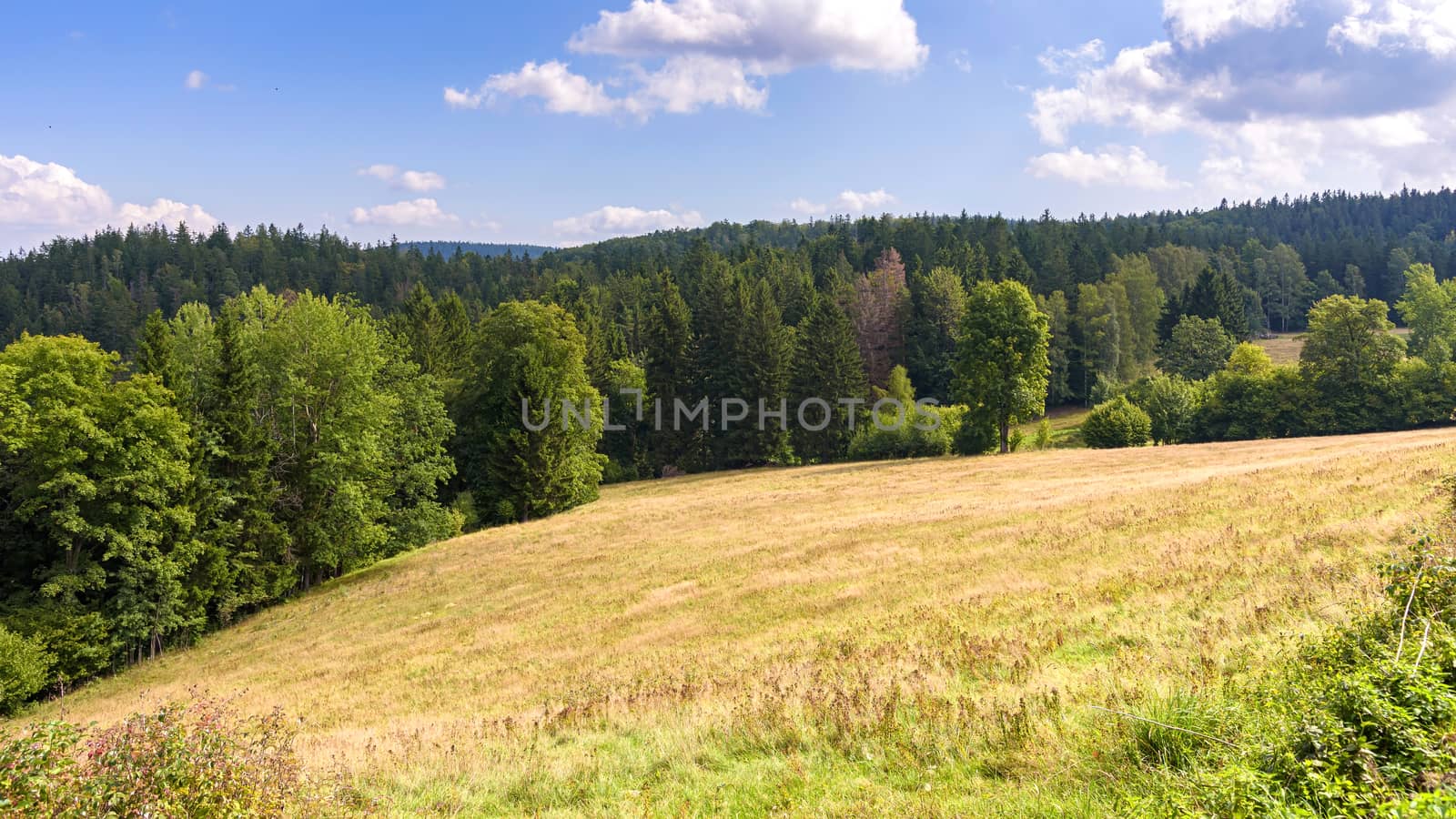 Summer landscape of Giant Mountains near Szklarska Poreba in Poland