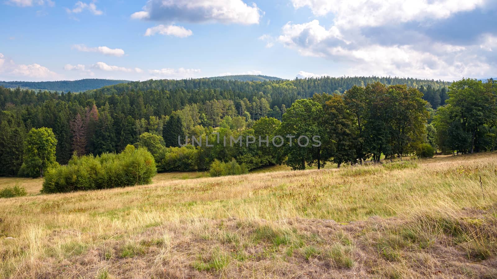 Summer landscape of Giant Mountains near Szklarska Poreba in Poland